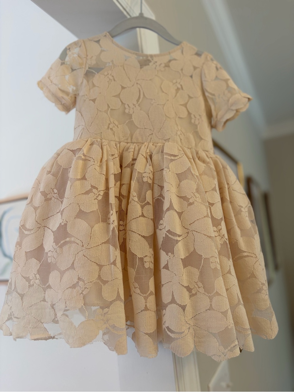 Only Little Once Floral Lace Party Dress, 2T